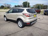 Used 2018 Ford Escape SE w/ SE Sync 3 Package image 6