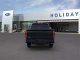 New 2025 Ford F250 Platinum image 5