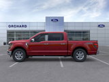 New 2025 Ford F150 XLT w/ Equipment Group 302A MID image 3