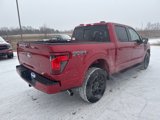 New 2025 Ford F150 XLT w/ Equipment Group 302A MID image 3