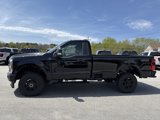 New 2025 Ford F350 XL image 5