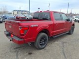 New 2025 Ford F150 XLT image 3