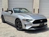 Used 2023 Ford Mustang Premium w/ Equipment Group 201A image 2