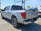 New 2025 Ford F150 STX image 5