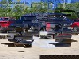 New 2025 Hyundai Palisade Calligraphy image 3