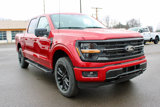 New 2025 Ford F150 XLT w/ Equipment Group 302A MID image 4
