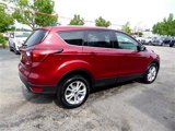 Used 2019 Ford Escape SE image 6