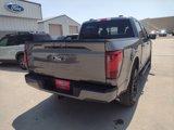 New 2025 Ford F150 XLT w/ Equipment Group 302A MID image 5