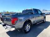 New 2025 Ford F150 XLT image 4