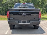 New 2025 Ford F150 XLT w/ Equipment Group 302A MID image 4