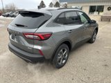 New 2025 Ford Escape ST-Line w/ Tech Pack #1 image 5