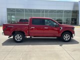 New 2025 Ford F150 XLT w/ Equipment Group 301A Standard image 2