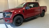 New 2025 Ford F150 XLT w/ Equipment Group 302A MID image 4