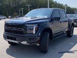 New 2025 Ford F150 Raptor image 6