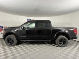New 2025 Ford F150 XLT w/ Equipment Group 302A MID image 6