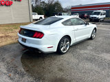 Used 2021 Ford Mustang Premium w/ Equipment Group 201A image 5