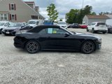 Used 2023 Ford Mustang Premium image 4
