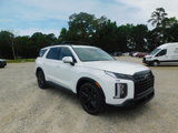New 2025 Hyundai Palisade XRT image 3