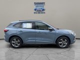 Used 2024 Ford Escape ST-Line image 4