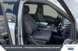 Certified 2023 Ford F150 XLT w/ Equipment Group 302A High image 6