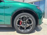 New 2025 Alfa Romeo Stelvio Sprint w/ Veloce Package image 4