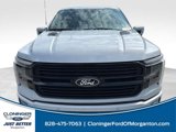 New 2025 Ford F150 Platinum w/ Equipment Group 702A High image 2