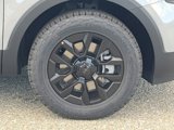 New 2025 Kia Telluride SX Prestige X-Pro image 4