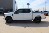 New 2025 Ford F150 XLT w/ Equipment Group 302A MID image 5