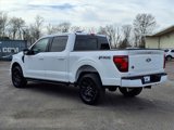 New 2025 Ford F150 XLT w/ Equipment Group 302A MID image 2