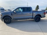 New 2025 Ford F150 Platinum image 4