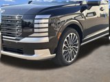 New 2026 Hyundai Palisade Calligraphy image 5