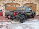 New 2025 Ford F150 Raptor image 4