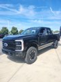 New 2026 Ford F350 Platinum w/ Tremor Off-Road Package image 4