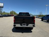 New 2025 Chevrolet Silverado 2500 LT w/ All Star Edition image 4