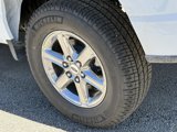 New 2025 Ford F150 XLT image 5