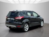 Used 2014 Ford Escape Titanium image 5