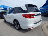 Certified 2024 Honda Odyssey EX-L image 4