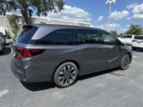 New 2026 Honda Odyssey Elite image 5