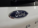 Used 2024 Ford Escape ST-Line w/ Tech Pack #1 image 5