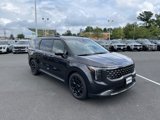 New 2026 Kia Carnival SX Prestige image 2