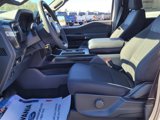 New 2025 Ford F150 STX image 5