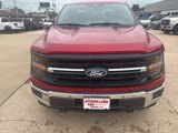 New 2025 Ford F150 XLT w/ Equipment Group 303A High image 3
