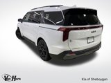 New 2025 Kia Carnival SX Prestige image 4