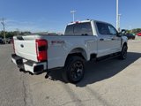 New 2025 Ford F250 XL image 5
