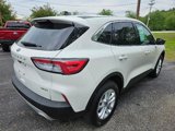 Certified 2022 Ford Escape SE w/ Convenience Package image 5