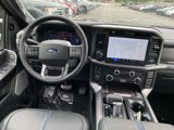 New 2025 Ford F150 Platinum image 5