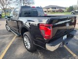 New 2025 Ford F150 XLT image 6