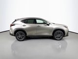 New 2026 Lexus NX 350 AWD w/ Premium Package image 4