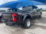 New 2025 Ford F350 XL image 3