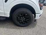 New 2025 Ford F150 XLT w/ Equipment Group 302A MID image 3
